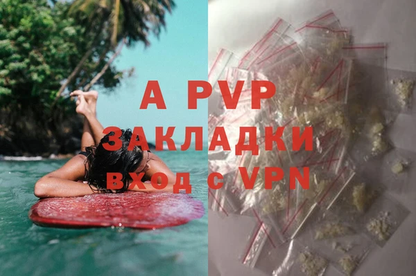 гашик Богородицк