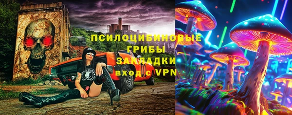 гашик Богородицк