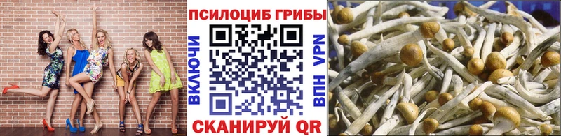 omg сайт  Малоярославец  Галлюциногенные грибы GOLDEN TEACHER 